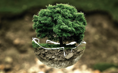 RESPECTING NATURAL AND MORAL ORDER IS A PREREQUISITE  FOR THE DEVELOPMENT OF OUR LIFE AND ITS MEANING